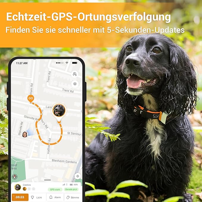 Pawfit 3 – Pawfit gps-tracker-hunde