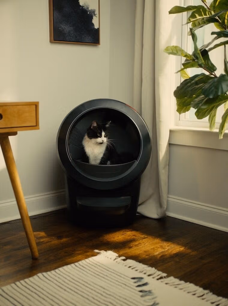 Selbstreinigende Katzenklos Kategorie für Haustiere